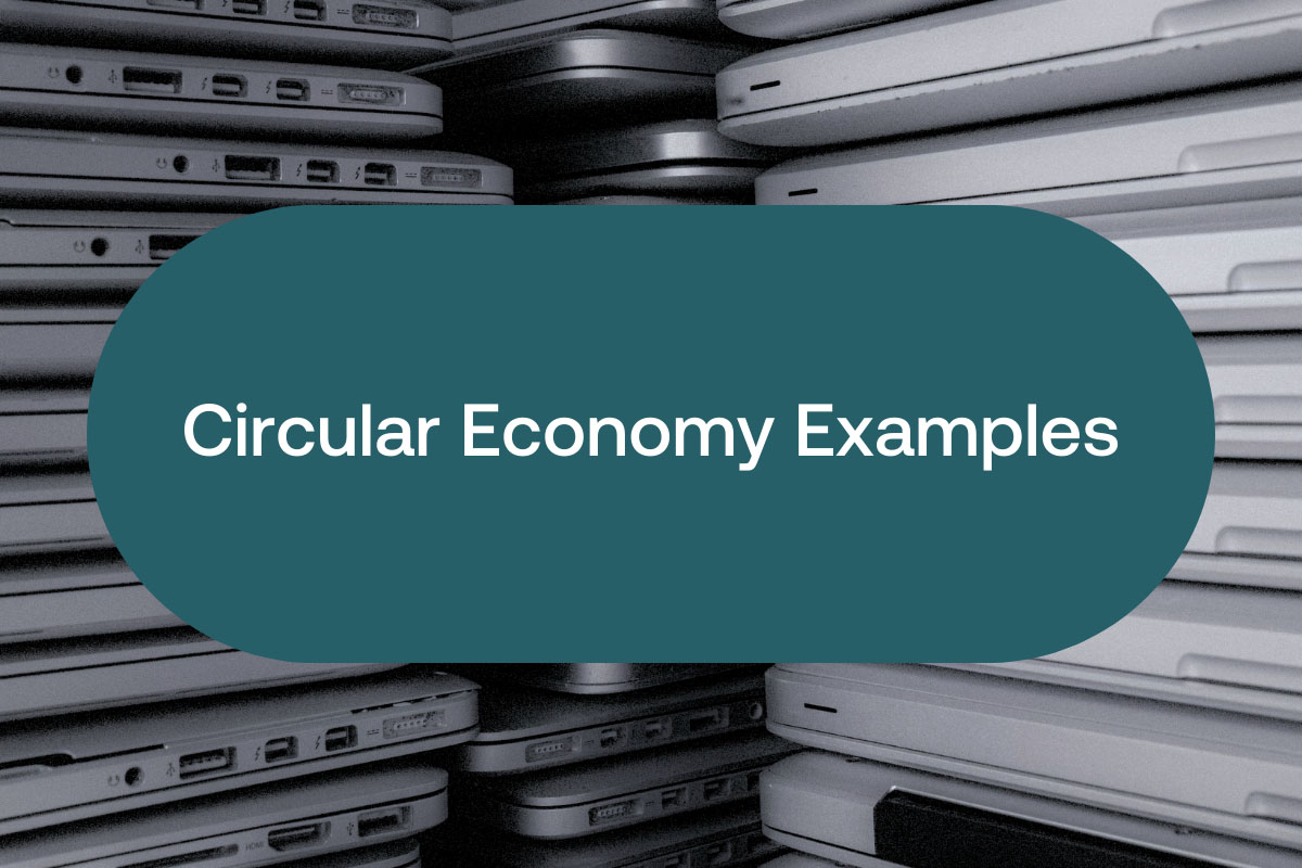 31 Circular economy examples from product design to business models
